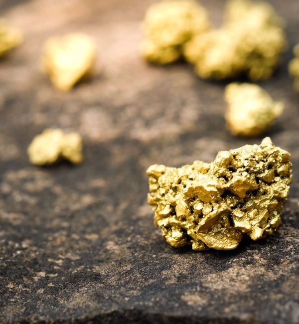 Goldnuggets